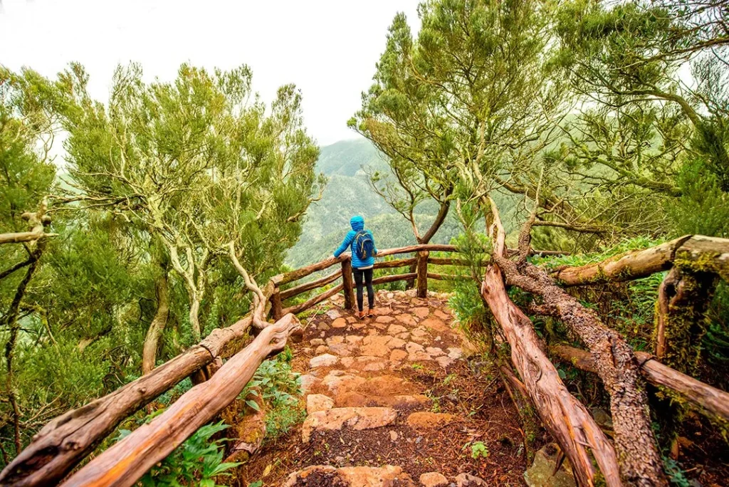 Mejores rutas para caminatas en la montaña 1 mejores rutas para caminatas en la montana